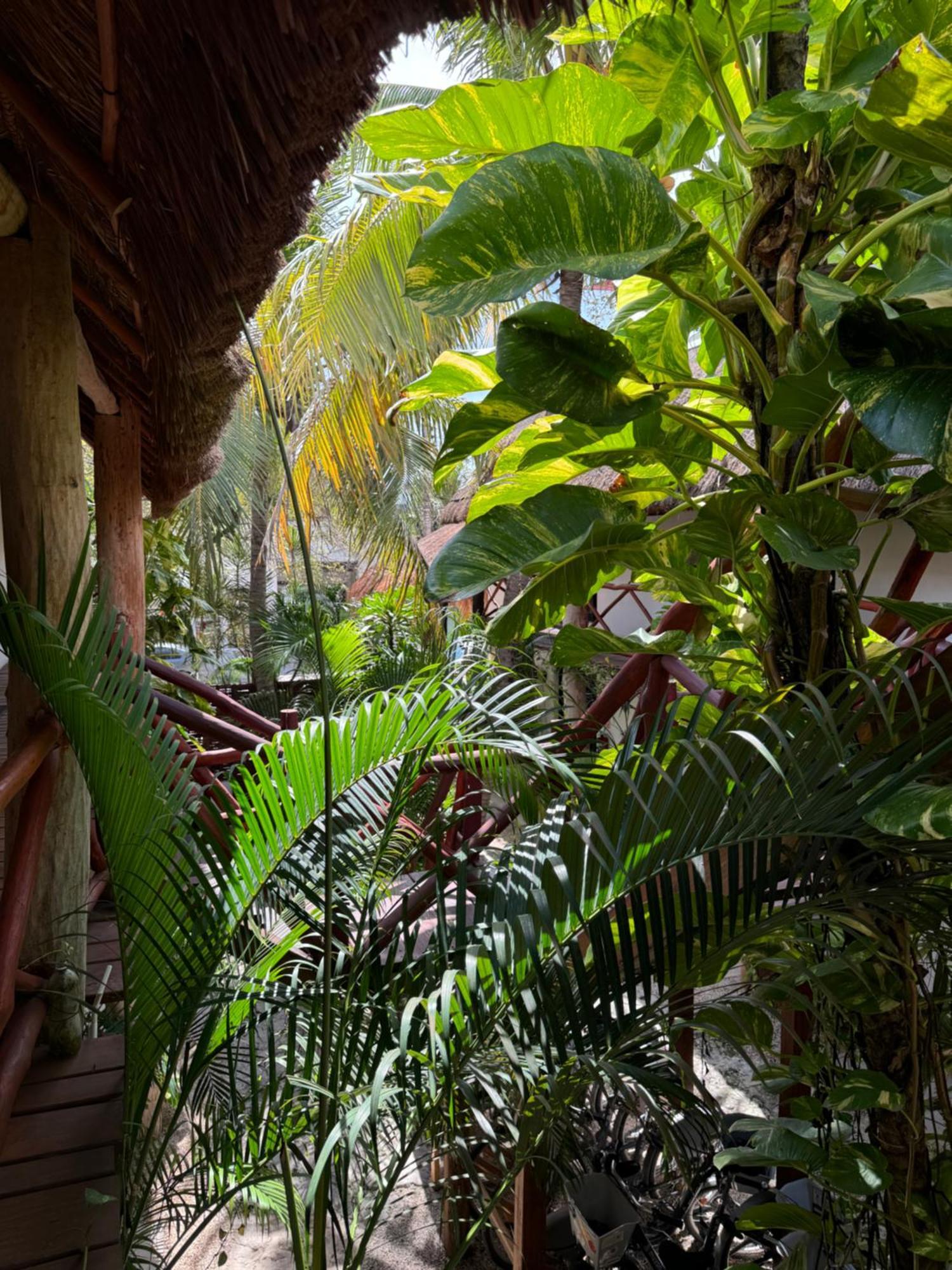 Kin Ha Tulum Hotel Exteriér fotografie